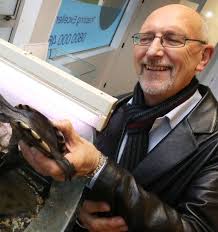 Injured turtle found