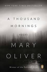 A Thousand Mornings By Mary Oliver 9780143124054 Penguinrandomhouse Com Books Poetry Books Mary Oliver Morning Poem