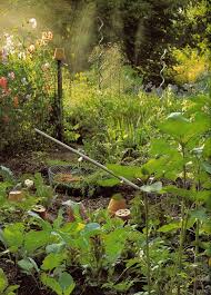 european style vegetable garden design