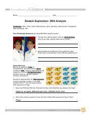 Learn vocabulary, terms and more with flashcards, games and other study tools. Identical Twins Get The Gizmo Ready Select The Find The Twins Tab Question How Course Hero