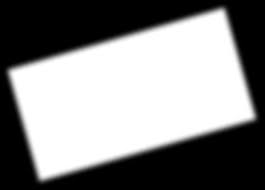 SKI FOR LIGHT, INC. 2020 Annual Report