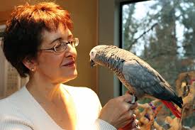 Atlanta Pet Photography