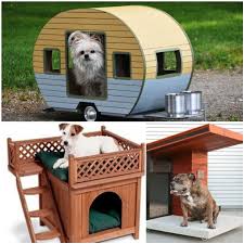 Las casas para perros están hechas con madera de abeto barnizada, son robustas e ideales para que tu mascota pueda dormir y descansar plácidamente. Las 3 Mejores Casas De Lujo Para Perros En Amazon 2020 Perrospedia