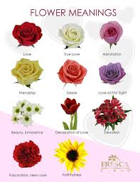 Some flowers that mean love also represent friendship, loyalty and appreciation. Quarterly Publication Simplebooklet Com