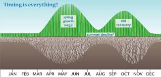 The best time to fertilize your lawn is in the fall while grass is growing and storing nutrients. Lawn Care Calendar Umn Extension