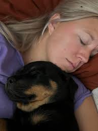 Another litter coming in February! These are the smartest loyalists dogs  I've even owned. Also peep the lacyboots! They are good for every adventure  life throws at you, even maligators haha #Lacyboots