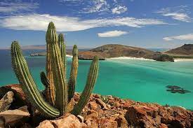 Search over 90+ million stock images, footage & vectors. Quand Partir Au Mexique Climat Meteo Prix Air Vacances