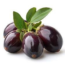 Image result for Mimusops