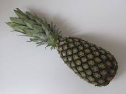 Methode De Reproduction De L Ananas Pain De Sucre