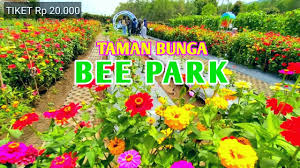 Entdecke rezepte, einrichtungsideen, stilinterpretationen und andere ideen zum ausprobieren. Tiket Masuk Taman Bunga Pandeglang Bunga Mulai Bersemi Di Kampung Jambu Kaduhejo Pandeglang Berita Banten Banten Tribun Harga Tiket Masuk Bougenville Garden Bandung Sau Seth