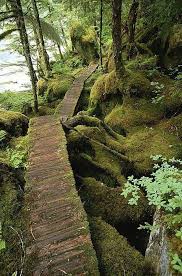 Maybe you would like to learn more about one of these? Insert Story Here Picture Prompt I Like To Imagine That This Was Made The Lost Boys Of Neverland Or Will End Up At A Great Tree House Or Magical Pub Or
