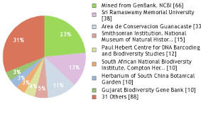Image result for Sida dregei
