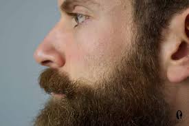 Reports find that b3 is even more effective when taken. How To Trim A Beard