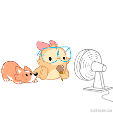 Weitere ideen zu witzig lustige spruche und. 39 Faultier Vivi Ideen Faultier Tiere Bewegte Bilder