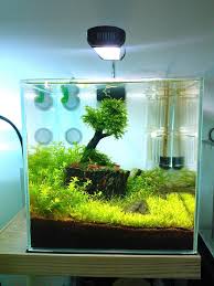 15 Liters Aquarium Design Nature Aquarium Aquarium