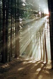 Light Shining Through Foggy By Mike Mcgee Beautiful Photography Nature Beautiful Nature Nature Photography
