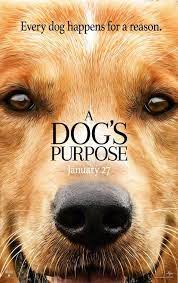 a dog s purpose หมา ส น ข ภาพยนตร