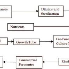 Process Flow Diagram For A Chocolate Confectionery Industry