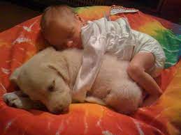 Baby Cuddles With Puppy