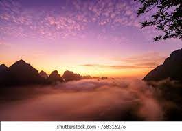 Each week, our experts select a photo from our exclusive signature collection and make it free to download, with free illustrations and video clips available. Royalty Free Image Collections And Categories Shutterstock