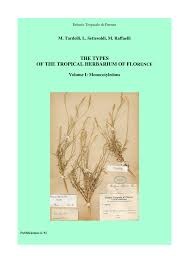 Image result for Anthericopsis sepalosa