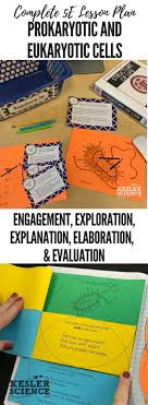 Prokaryotic And Eukaryotic Cells Lesson Plan A Complete Science Lesson Using The 5e Method Of Instruction Kesler Science Cells Lesson Cell Lesson Plans Interactive Science Notebook