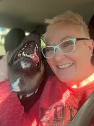 Christmas with shelter dogs