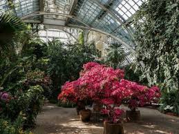 Der Botanische Garten Schonbrunn Pflanzenpalaste Der Kaiser
