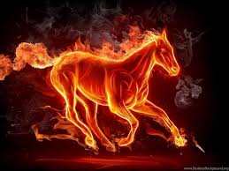 Feel free to download, share, comment and discuss every wallpaper you like. Download Free Wallpapers Fire Lion Wallpaper 3d 1280x960 Download Hd Wallpaper Wallpapertip