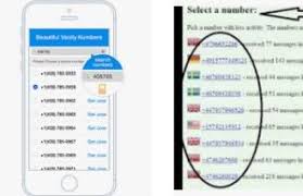 People can call you from their mobile or landline and you pick the call up in skype. Get Free Us Phone Number In Nigeria Get Us Phone Number For Infowaka