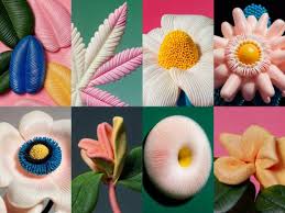 必须收藏】2025年10个AI绘画趋势- 小默AI工具导航网