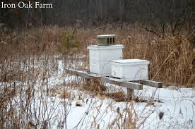 During the winter, bees don't leave the hive unless the temperature is around 50° or warmer. What Do Bees Do All Winter Keeping Backyard Bees