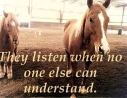 They Listen When No One Else Can Understand Horse Quotes Horse Life Equine Quotes