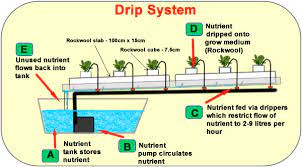 Hydroponics Systems Nutrient Film Technique Nft Drip Systems Flood And Drain Ebb And Flow