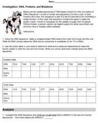 T a c a c c t t g g c g a c g a c t mrna sequence: Investigation Dna Proteins And Mutations Teaching Biology Learn Biology Biology Lessons