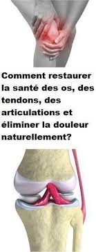 comment restaurer la sante des os des tendons des articulations et eliminer la douleur naturellement health fitness biceps workout health