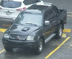 Image result for Misty White 1994 Stealth