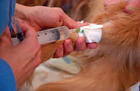 February 2017 Volume 79 No. 1