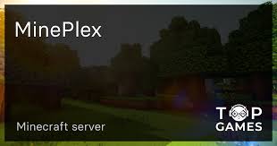 If you want to run your own minecraft server, you need to share your computer's internet protoc. Mineplex Minecraft Server