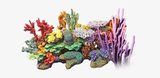 A jpg converted to png usually results in a larger file size since it uses lossless compression and the alpha channel adds 8 bits to each pixel. Coral Reef Png Jpg Download Coral Png Transparent Png 600x320 Free Download On Nicepng