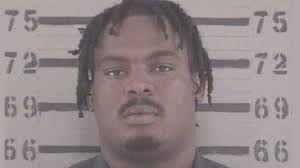 Pit bull puppies stolen in Georgia shelter break-in returned, search for  suspect ongoing