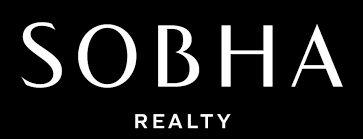 Developer