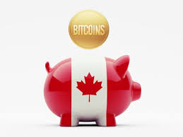 Here are some bitcoin wallets to get you started. Bitcoin In Canada Coinmama Blog