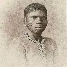 Innovative technique to pollinate vanilla orchids