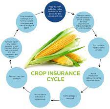 Aug 14, 2008 · crop insurance basics. Agriculture Crop Insurance Guide For Missouri And Iowa Farms