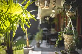 Weil wir möchten, dass sie balkon und terrasse ohne ein übermaß an arbeit genießen können und weil. Dschungel Balkon Einrichten 10 Pflegeleichte Winterharte Pflanzen Dekotipps Sonne Wolken