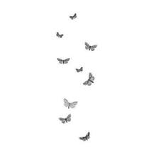 See more ideas about butterfly, butterfly tattoo, butterfly art. Butterfly Flying Away Tattoo Butterfly Mania