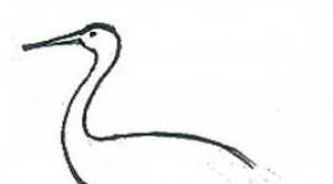 Cara terbaik untuk menggantung bangau adalah menaruh tali melalui lubang di bagian bawah dan tengah tubuh, di mana semua lipatan dijangkau. Gambar Pensil Caravel Untuk Anak Anak Bagaimana Cara Menggambar Crane Dengan Berbagai Cara Cara Menggambar Pensil Caravel Fase