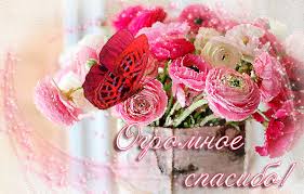 We did not find results for: Spasibo Animirovannye Kartinki Animacii Gif Gifki Otkrytki Stranica 2