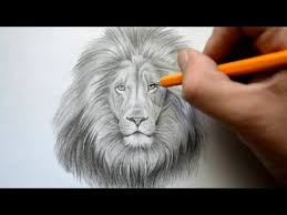 If you are going to be following along using pencil and paper please be sure to make light lines. Time Lapse Drawing Of A Lion Lion Face Drawing Lion Sketch Lion Drawing